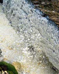 Sea foam