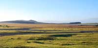 Bodmin Moor