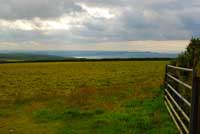 View over Pentire point from bridleway between Condoldon Barrow and Trewarmett in Tintagel