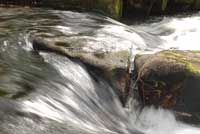 Golitha Falls