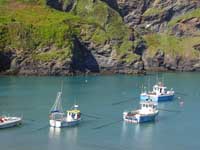 Fishing boats in Port Isaac harbour