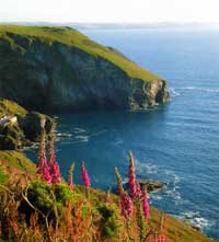 View over Denis Point from cliffs at Trebarwith Strand