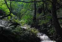 Stream in Trebarwith Valley