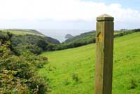 Path from Trebarwith Valley Nature Reserve
