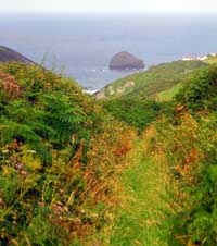 View from the path