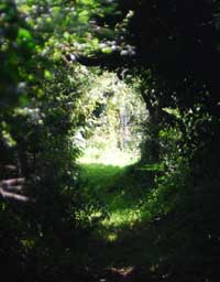 Path to the Downs